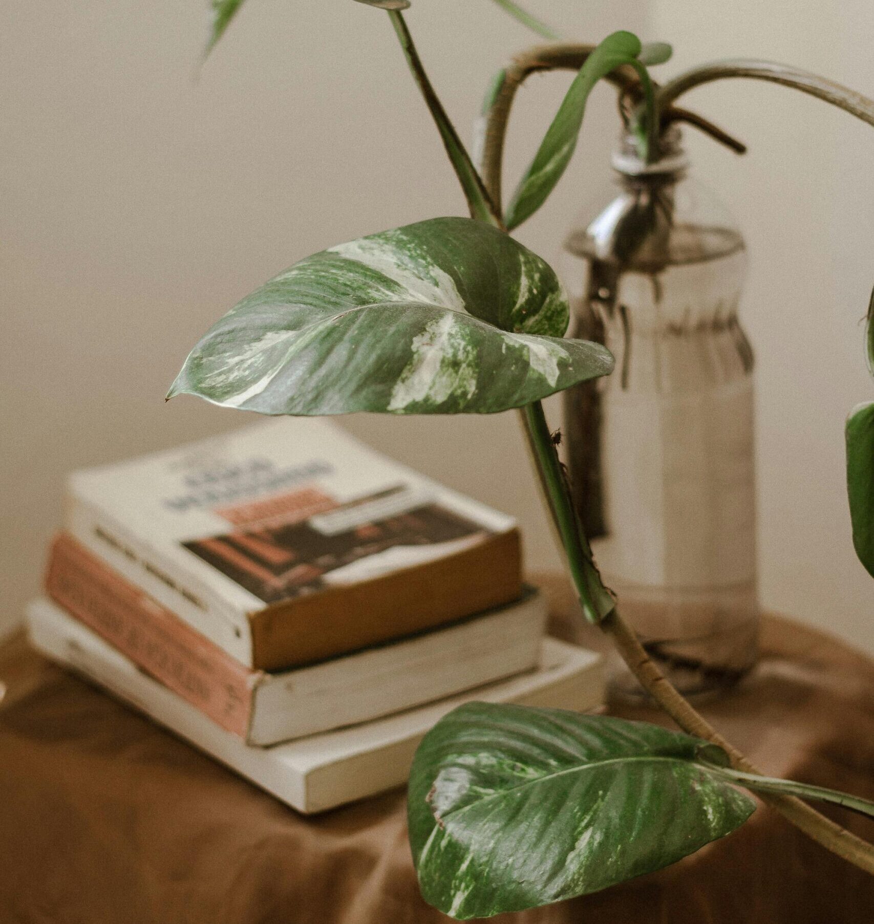 Our approach to publishing